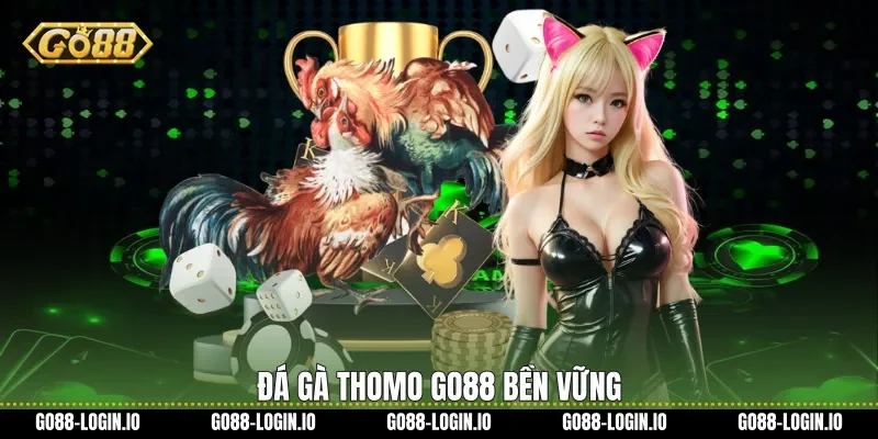 Đá gà Thomo Go88 bền vững