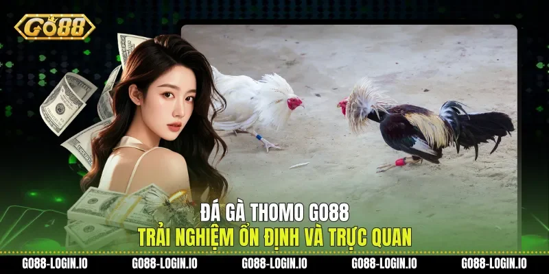 Đá Gà Thomo Go88 Trải Nghiệm Ổn Định Và Trực Quan