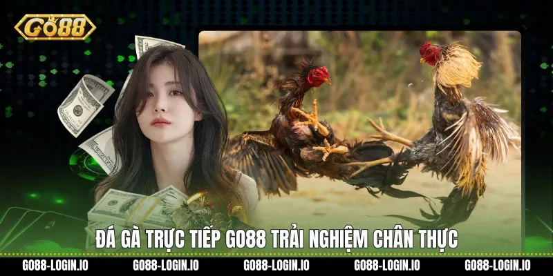 Đá gà trực tiếp Go88 trải nghiệm chân thực