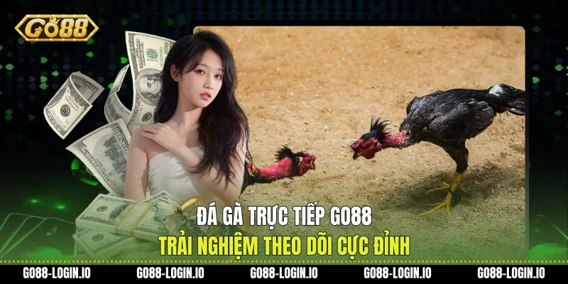 Đá Gà Trực Tiếp Go88 Trải Nghiệm Theo Dõi Cực Đỉnh